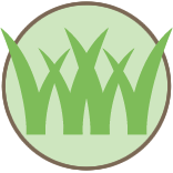 Strive Grass Cutting Service