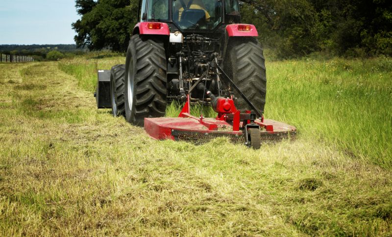 Brush Mowing Service in Calvert County, MD