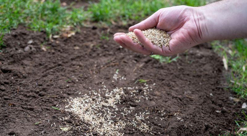 Bermuda Grass Seeding in Honolulu, HI