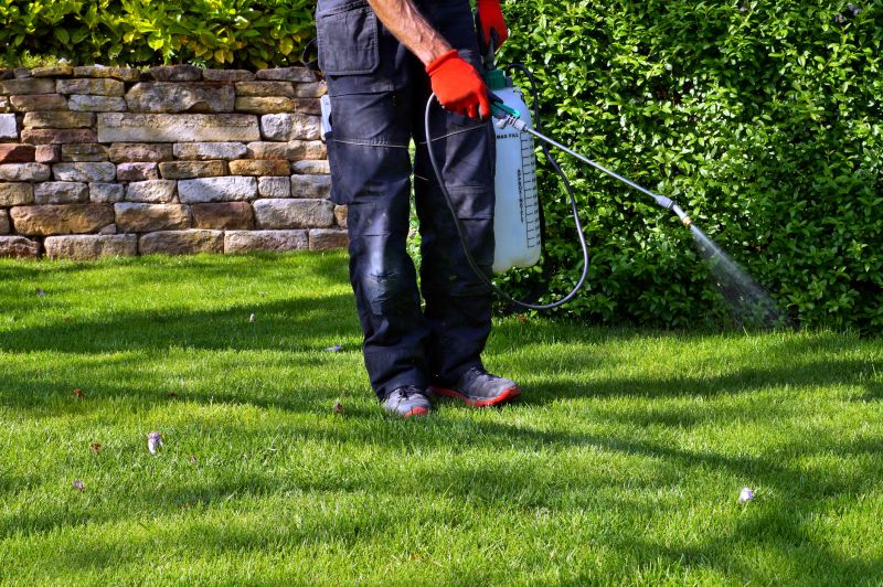 Crabgrass Prevention in Aiken, SC