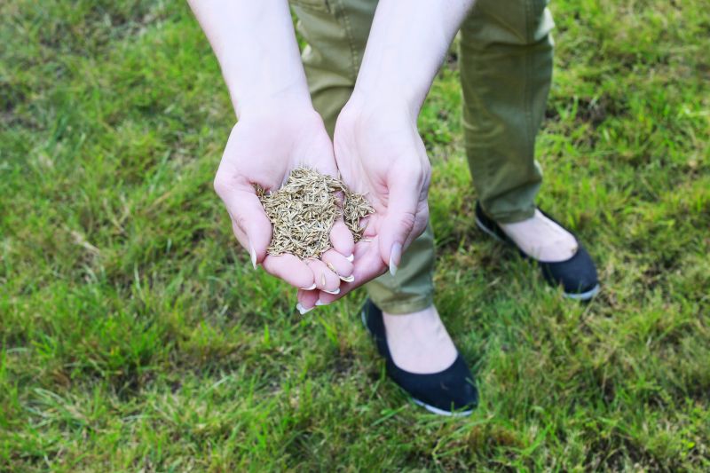 Fall Lawn Seeding in Ventura County, CA