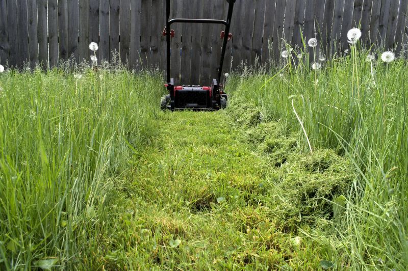 Grass Mowing