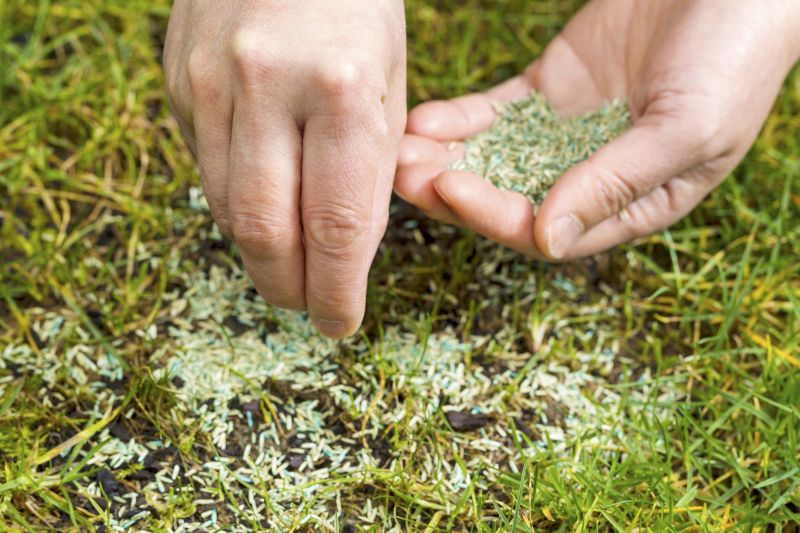 Lawn Seeding in Honolulu, HI