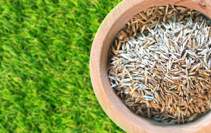 Lawn Seeding in Honolulu, HI
