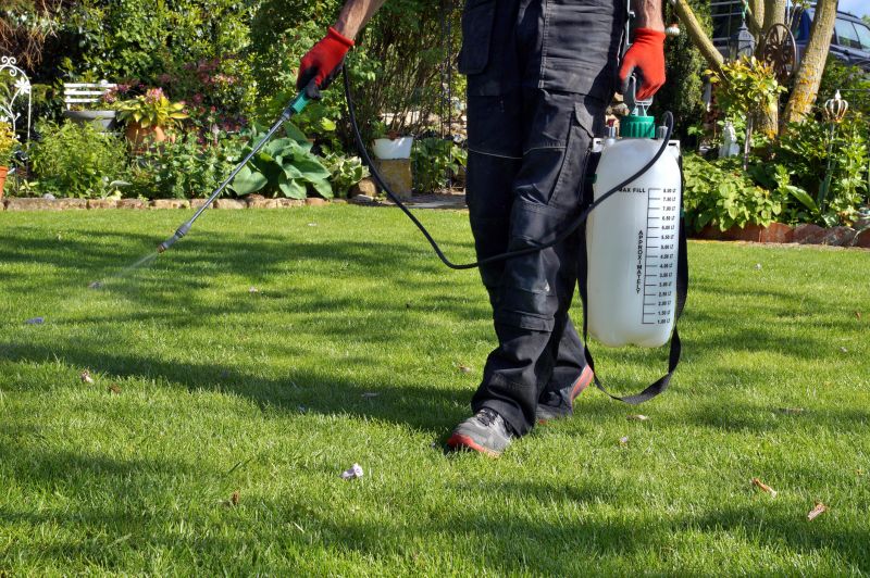 Lawn Treatment Service in Ventura County, CA
