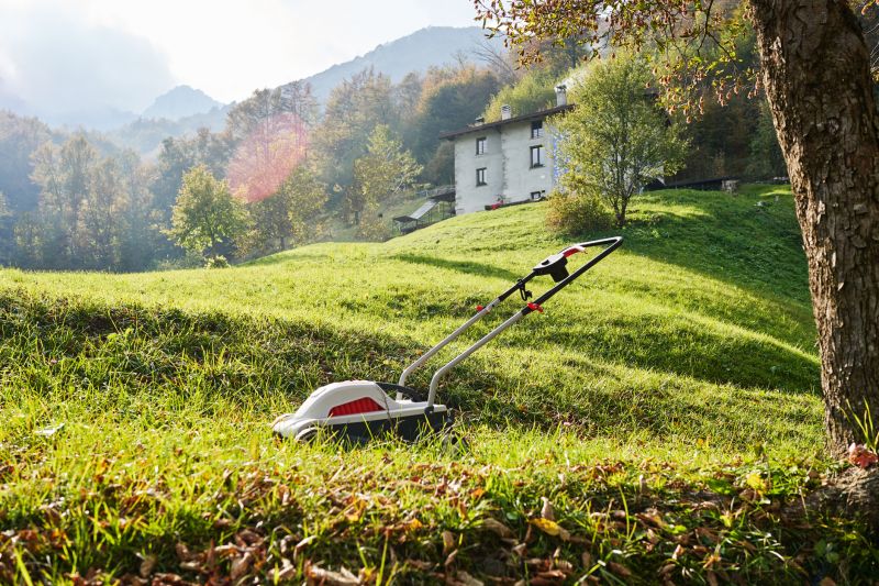 Residential Lawn Mowing