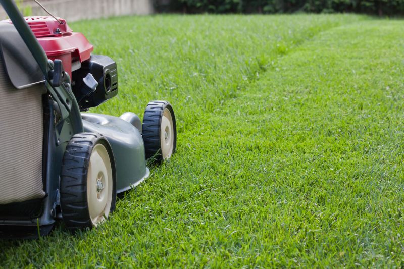 Routine Lawn Care in Bowie, MD