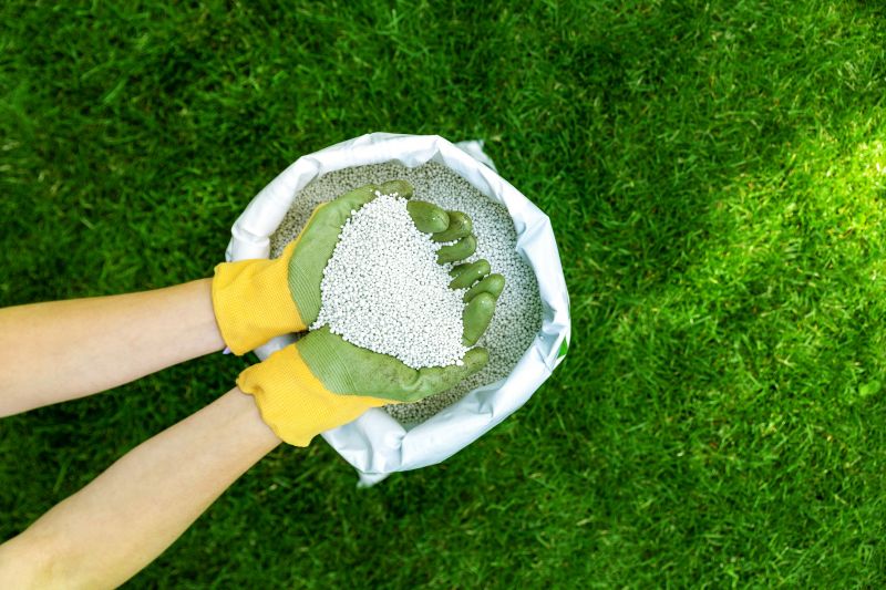 Spring Lawn Fertilizing in Honolulu, HI
