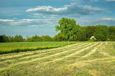 Vacant Lot Mowing in Waldorf, MD