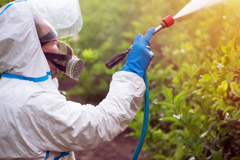 Weed Control Service in Ventura County, CA