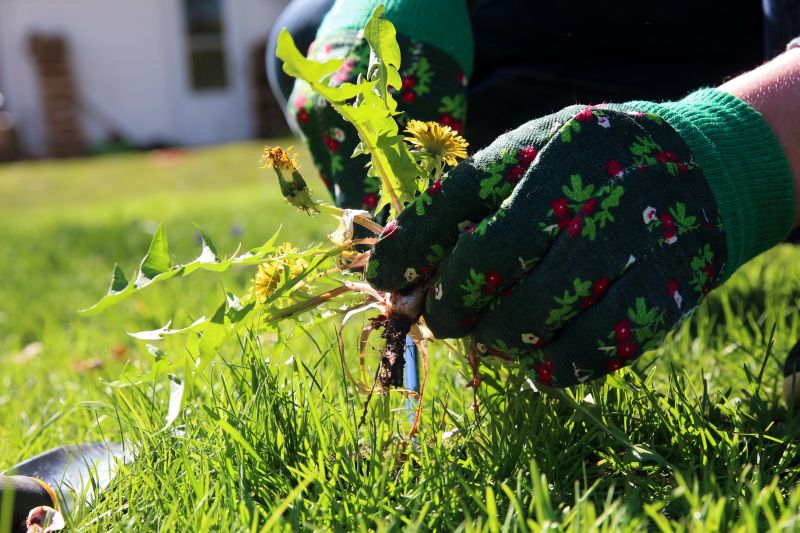 Weed Whacking in Bowie, MD