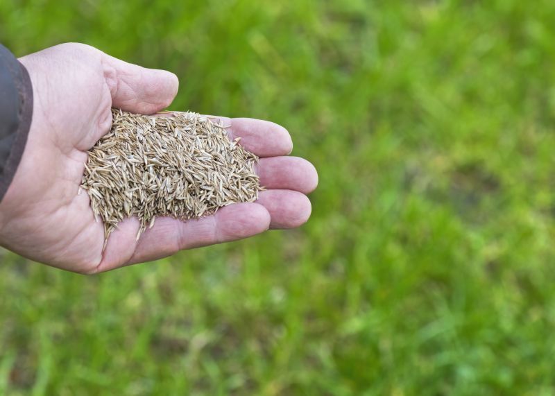 Yard Overseeding in Honolulu, HI