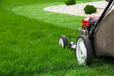 Save Time and Effort with Professional Grass Cutting!